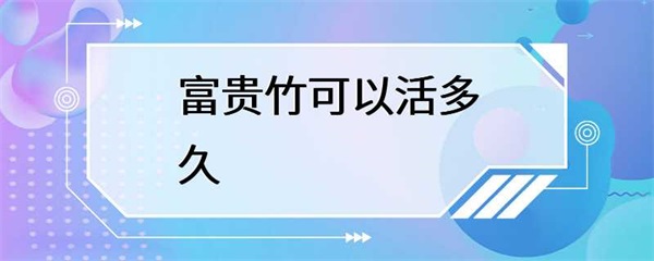 富贵竹可以活多久？