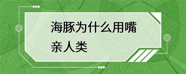 海豚为什么会用嘴亲人类？