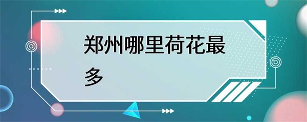 郑州哪里荷花最多？