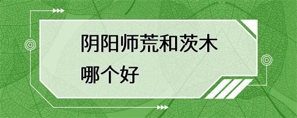 阴阳师荒和茨木哪个好荒和茨木各有特点