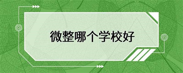 微整形哪个学校好
