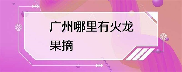 广州哪里有火龙果摘？