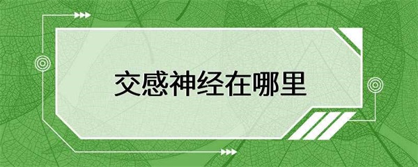 交感神经的分布范围非常广泛，它可以影响到身体的各个器官和组织