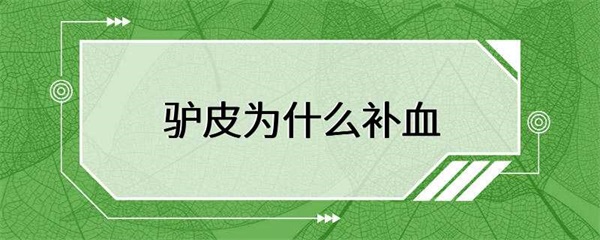 驴皮为什么能够补血？