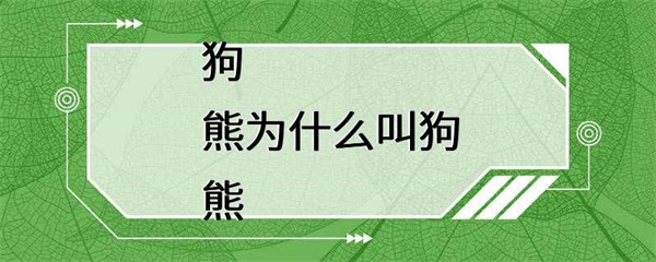 狗熊为什么被称为狗熊？