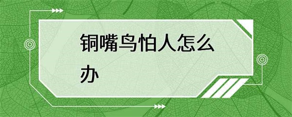 铜嘴鸟为什么会害怕人？怎么办？