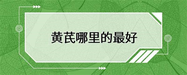 黄芪哪里的最好？