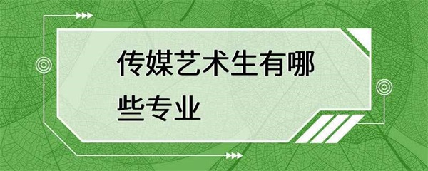 传媒艺术生有哪些专业？