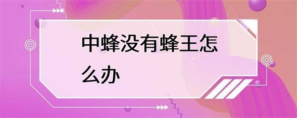 中蜂没有蜂王怎么办？如果没有蜂王怎么办？