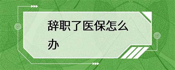 辞职后，医保怎么办？