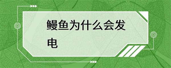 鳗鱼发电的原理是什么？