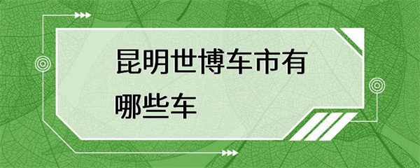 昆明世博车市，从经济型小车到豪华轿车