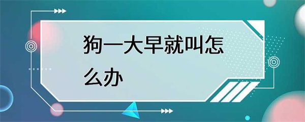 狗狗一大早就叫怎么办？