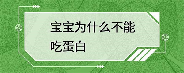 宝宝为什么不能吃蛋白质？