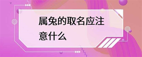 属兔的人在取名字时，需要注意一些事项