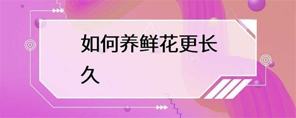 如何养鲜花更长久？这几点很重要