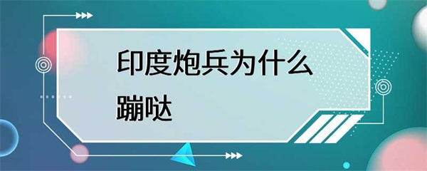 印度炮兵为什么会蹦哒？训练不够严格，技术水平不够高！