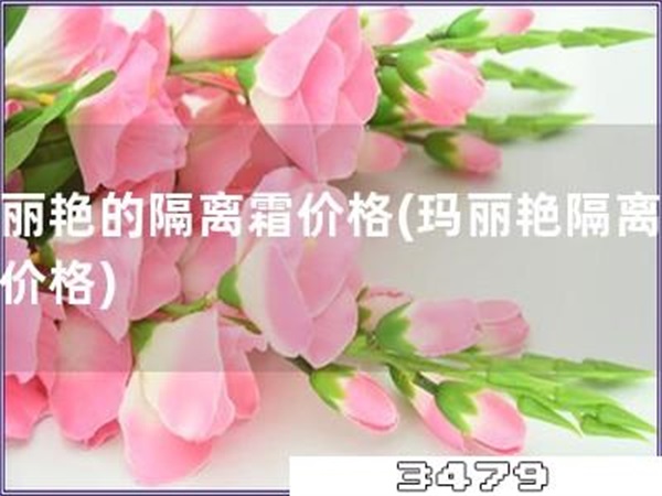 玛丽艳的隔离霜价格「玛丽艳隔离霜的价格」