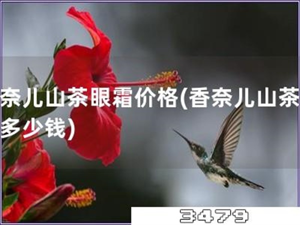 香奈儿山茶眼霜价格「香奈儿山茶眼霜多少钱」