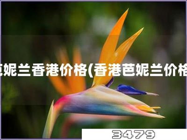 芭妮兰香港价格「香港芭妮兰价格」