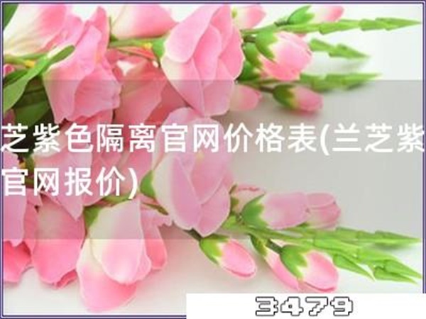兰芝紫色隔离官网价格表「兰芝紫隔离官网报价」