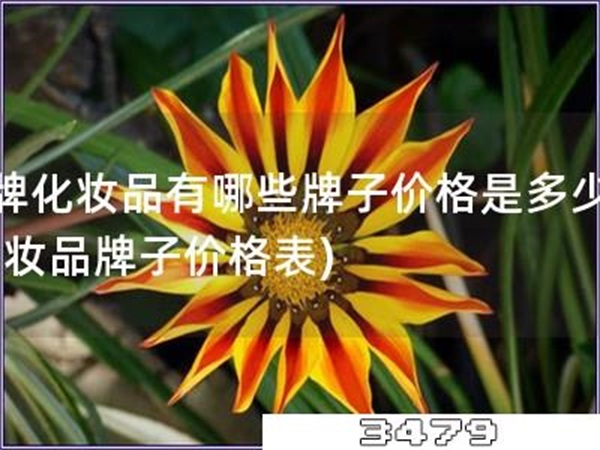 品牌化妆品有哪些牌子价格是多少钱「化妆品牌子价格表」