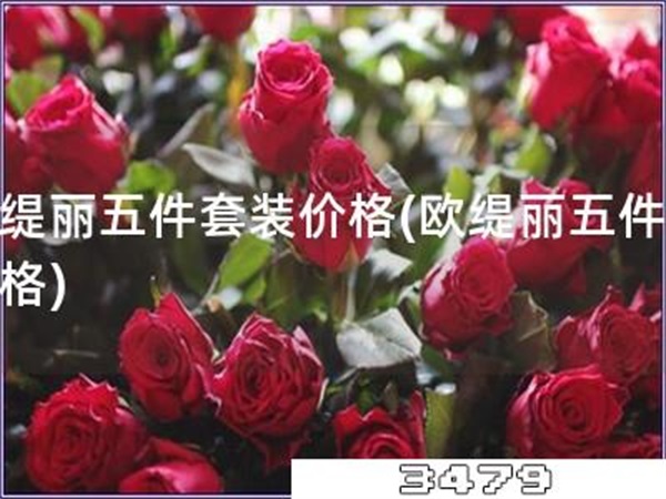 欧缇丽五件套装价格「欧缇丽五件套价格」