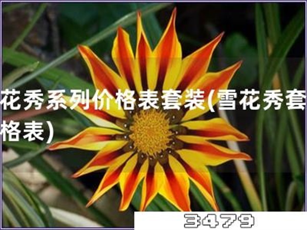 雪花秀系列价格表套装「雪花秀套装价格表」