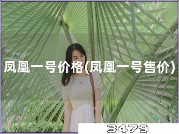 凤凰一号价格「凤凰一号售价」