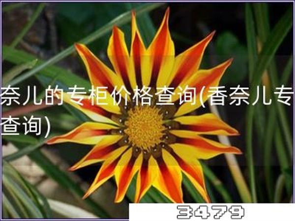 香奈儿的专柜价格查询「香奈儿专柜价查询」