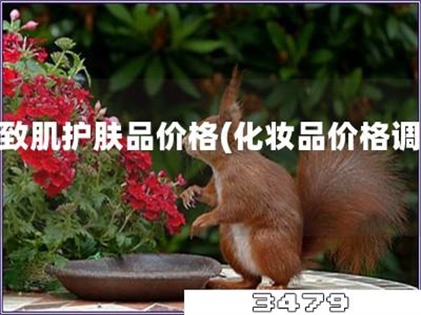 睿致肌护肤品价格「化妆品价格调查」