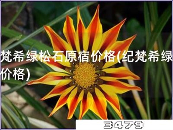 纪梵希绿松石原宿价格「纪梵希绿松石价格」