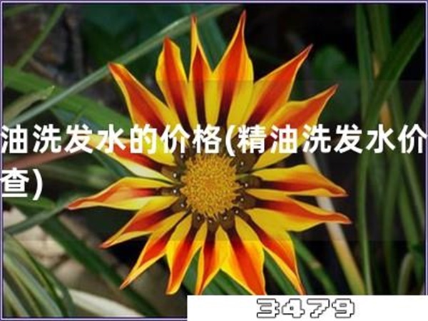 精油洗发水的价格「精油洗发水价格调查」