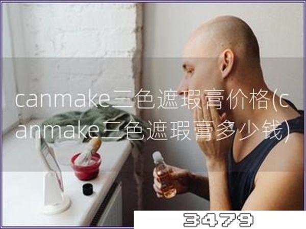 canmake三色遮瑕膏价格