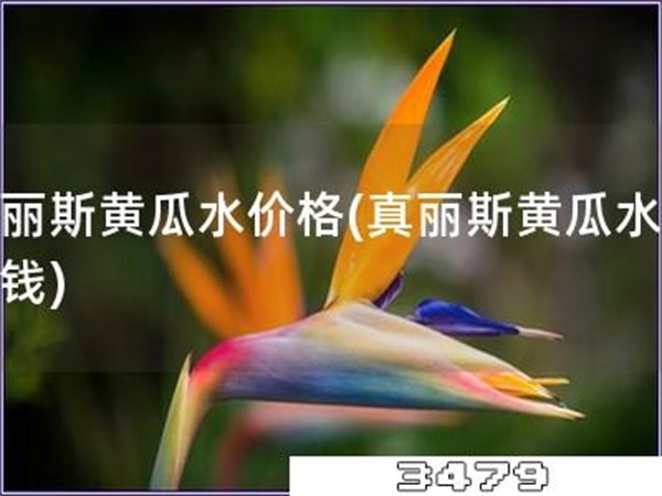 真丽斯黄瓜水价格「真丽斯黄瓜水多少钱」