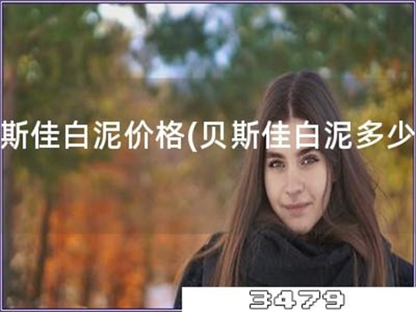 贝斯佳白泥价格「贝斯佳白泥多少钱」