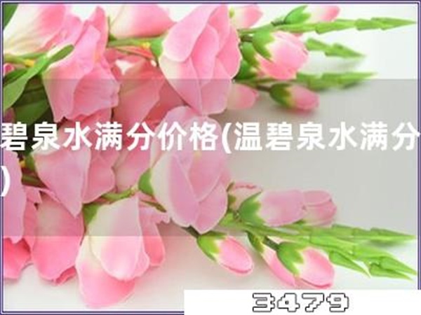 温碧泉水满分价格「温碧泉水满分好价」