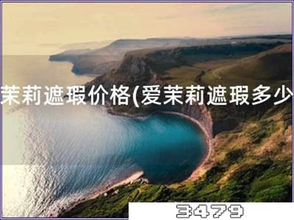 爱茉莉遮瑕价格「爱茉莉遮瑕多少钱」