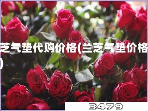 兰芝气垫代购价格「兰芝气垫价格查询」