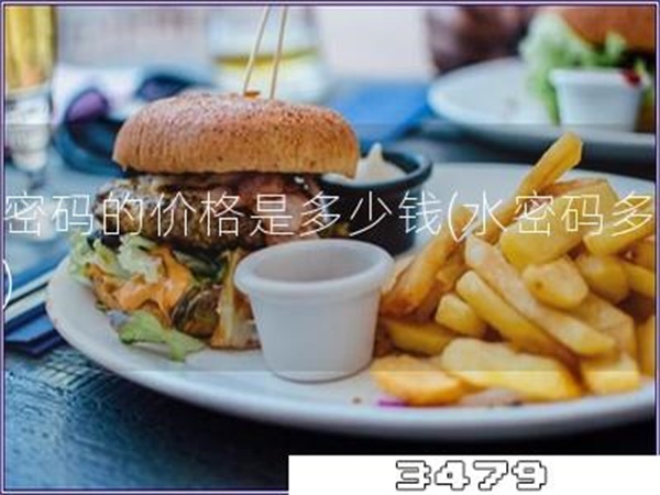 水密码的价格是多少钱「水密码多少钱」