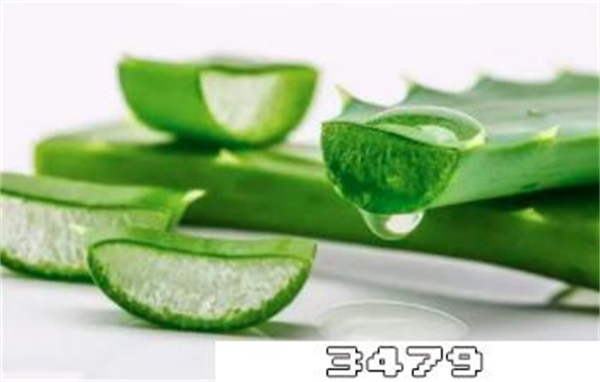 芦荟面膜的作用和功效，芦荟面膜几天敷一次最好