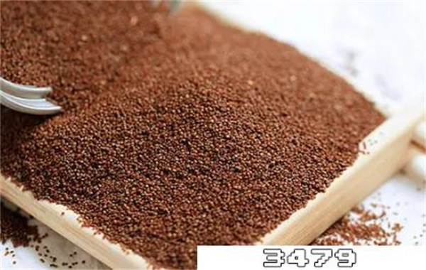 海藻面膜可以天天敷吗，海藻面膜多久敷一次最好