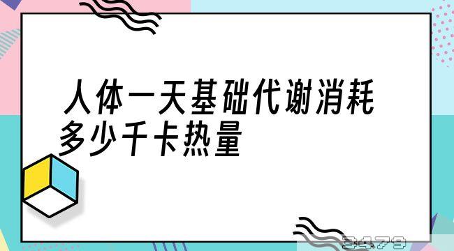 人体一天基础代谢消耗多少千卡热量