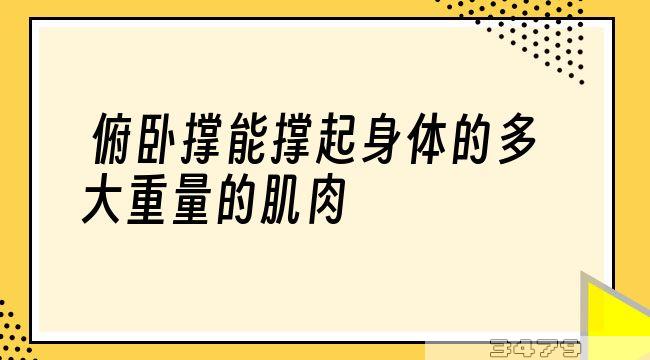 俯卧撑能撑起身体的多大重量的肌肉