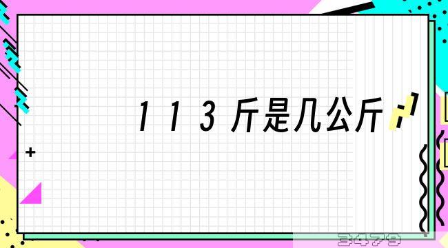 113斤是几公斤