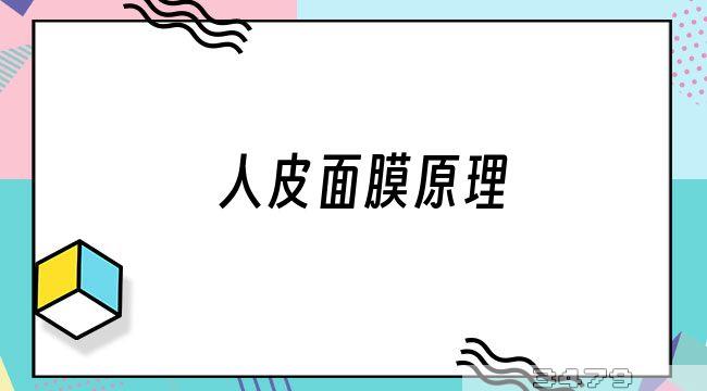 人皮面膜原理