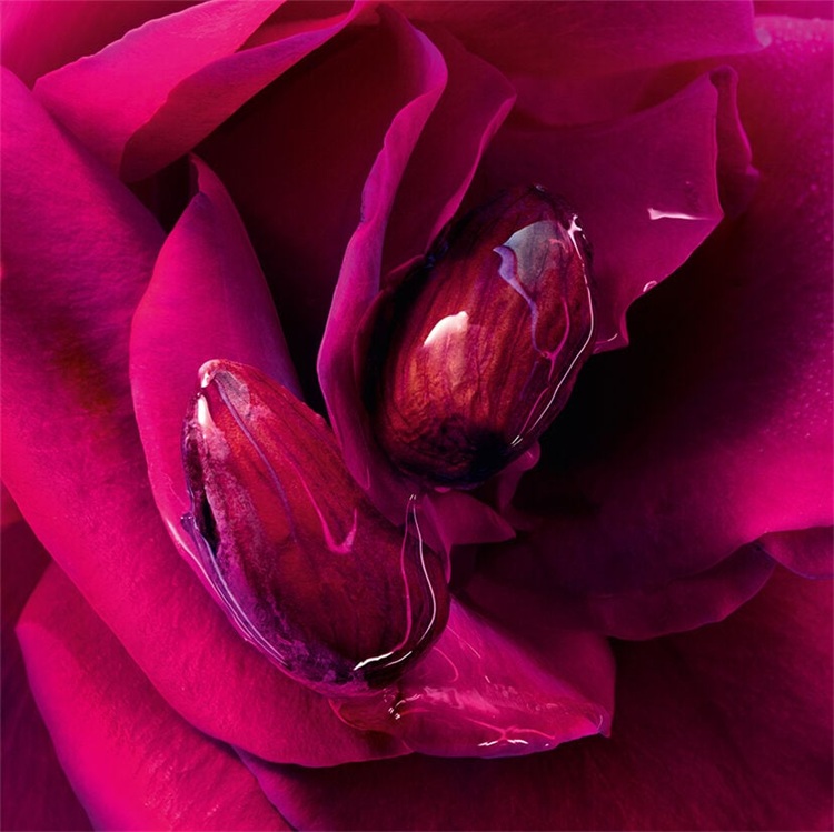 La Petite Robe Noire Parfum