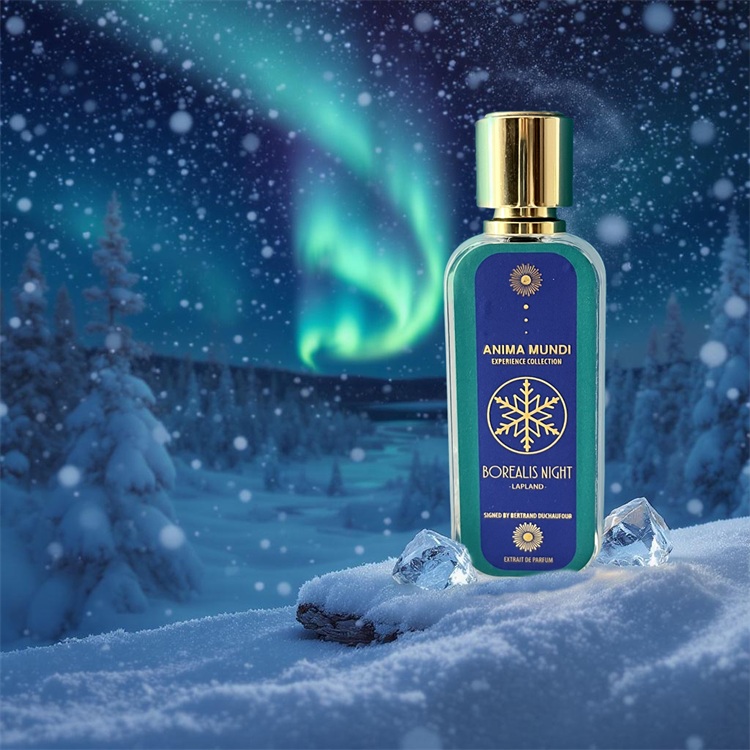 anima mundi borealis night