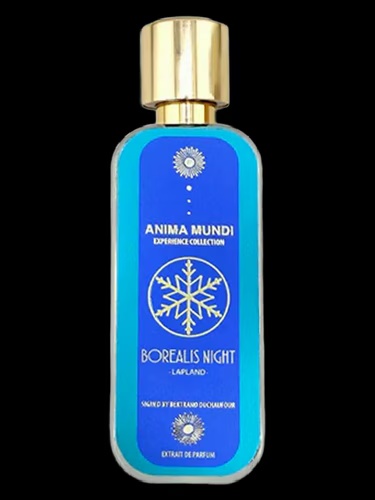 Anima Mundi Borealis Night