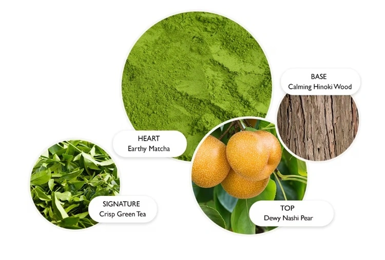 Molton Brown 的 Tea Ceremony 茶道香水关键香调